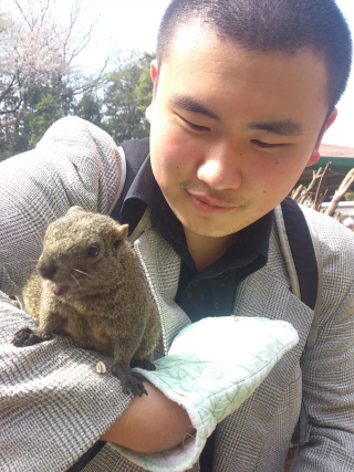 Illustration for article titled Inside Japan's Squirrel Gardens. Yes, Squirrel Gardens!